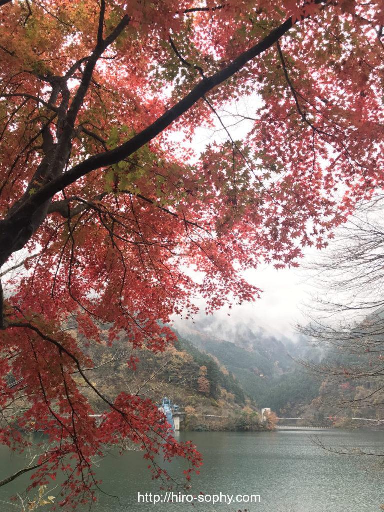 名栗湖の紅葉